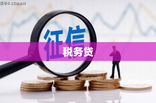 舞阳税务贷