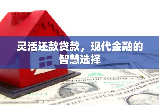 舞阳灵活还款贷款，现代金融的智慧选择