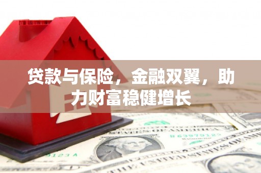 舞阳贷款与保险，金融双翼，助力财富稳健增长