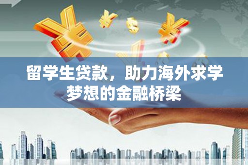舞阳留学生贷款，助力海外求学梦想的金融桥梁