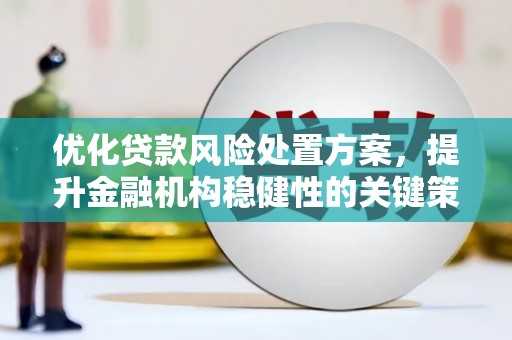 舞阳优化贷款风险处置方案，提升金融机构稳健性的关键策略