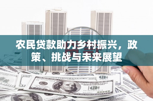 舞阳农民贷款助力乡村振兴，政策、挑战与未来展望