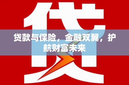 舞阳贷款与保险，金融双翼，护航财富未来
