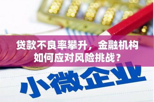 舞阳贷款不良率攀升，金融机构如何应对风险挑战？