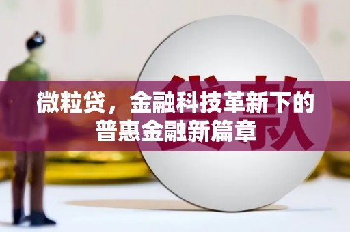 舞阳微粒贷，金融科技革新下的普惠金融新篇章