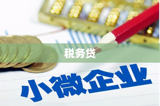 舞阳税务贷