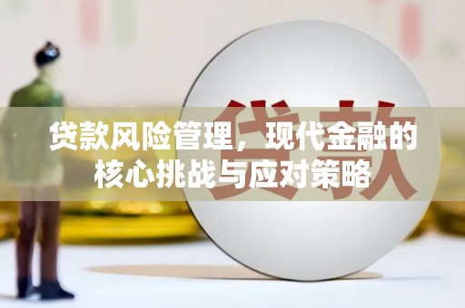 舞阳贷款风险管理，现代金融的核心挑战与应对策略
