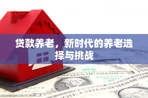 舞阳贷款养老，新时代的养老选择与挑战