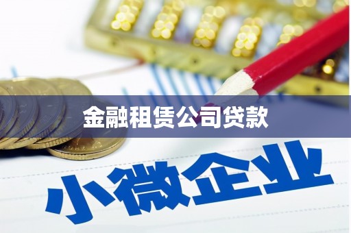 舞阳金融租赁公司贷款