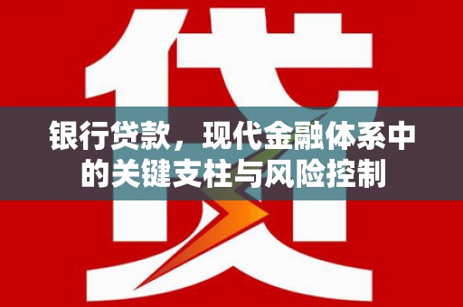 舞阳银行贷款，现代金融体系中的关键支柱与风险控制