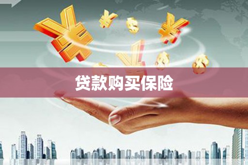 舞阳贷款购买保险