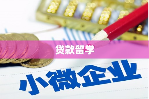 舞阳贷款留学