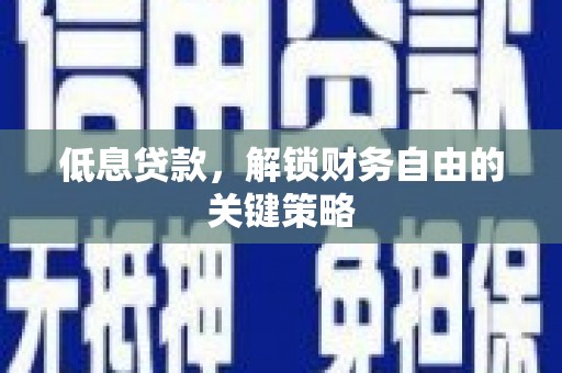 舞阳低息贷款，解锁财务自由的关键策略