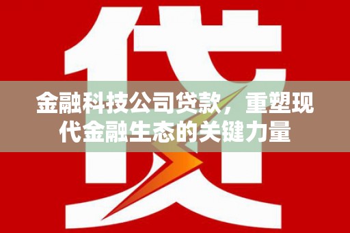 舞阳金融科技公司贷款，重塑现代金融生态的关键力量
