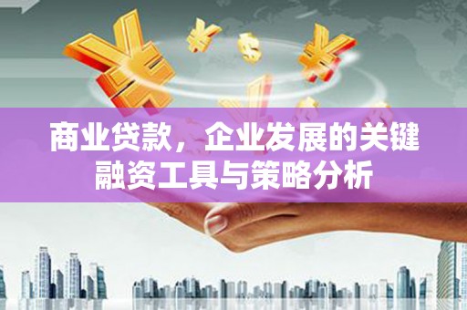 舞阳商业贷款，企业发展的关键融资工具与策略分析