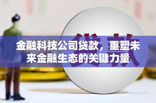 舞阳金融科技公司贷款，重塑未来金融生态的关键力量