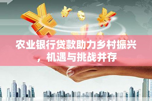 舞阳农业银行贷款助力乡村振兴，机遇与挑战并存