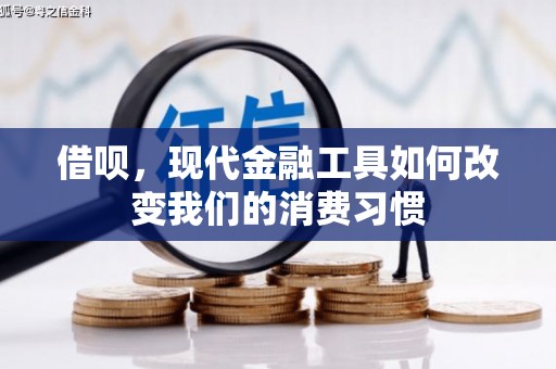 舞阳借呗，现代金融工具如何改变我们的消费习惯
