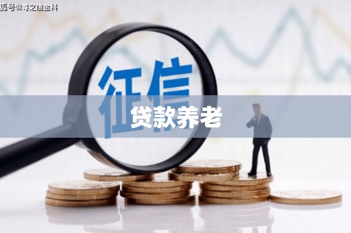 舞阳贷款养老