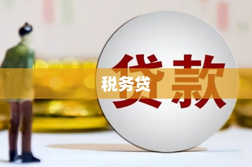 舞阳税务贷