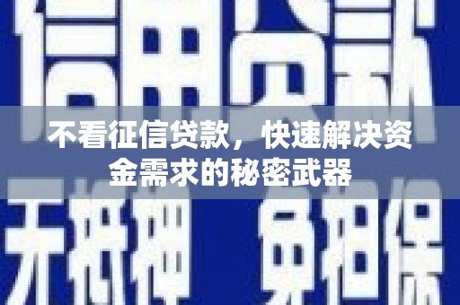舞阳不看征信贷款，快速解决资金需求的秘密武器
