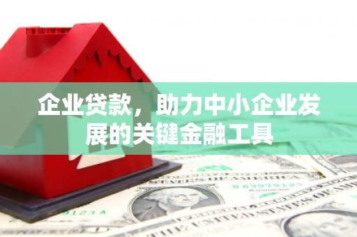 舞阳企业贷款，助力中小企业发展的关键金融工具