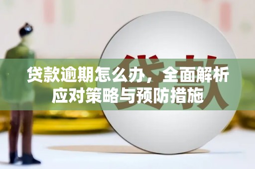 舞阳贷款逾期怎么办，全面解析应对策略与预防措施