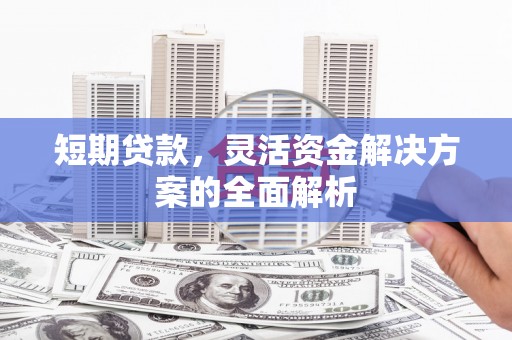 舞阳短期贷款，灵活资金解决方案的全面解析