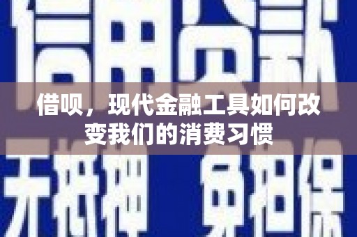 舞阳借呗，现代金融工具如何改变我们的消费习惯