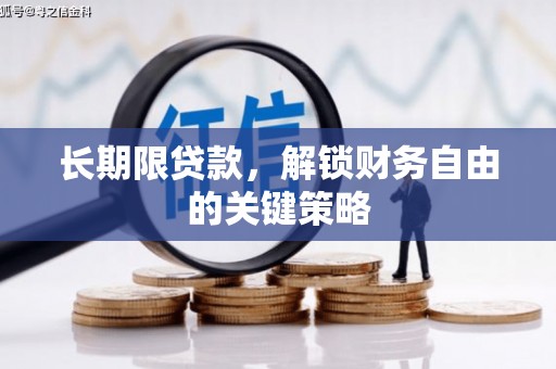 舞阳长期限贷款，解锁财务自由的关键策略
