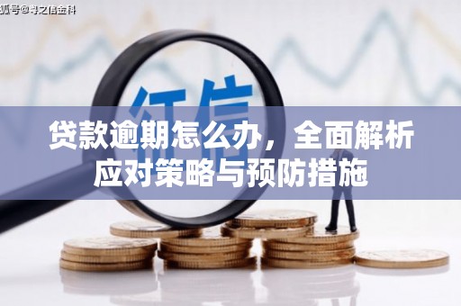 舞阳贷款逾期怎么办，全面解析应对策略与预防措施