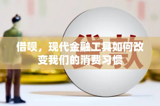 舞阳借呗，现代金融工具如何改变我们的消费习惯