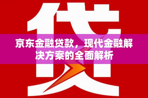 舞阳京东金融贷款，现代金融解决方案的全面解析