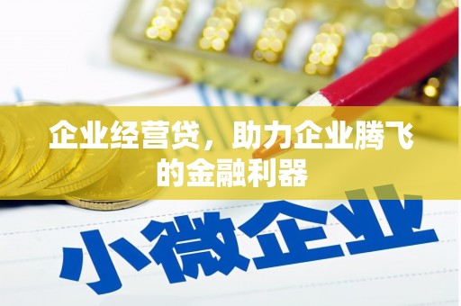 舞阳企业经营贷，助力企业腾飞的金融利器