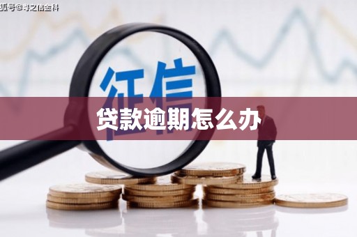 舞阳贷款逾期怎么办