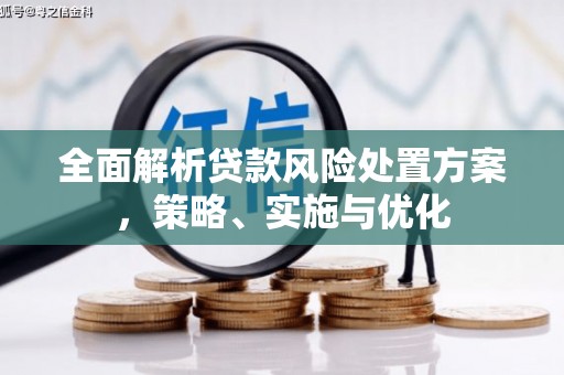 舞阳全面解析贷款风险处置方案，策略、实施与优化