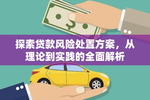 舞阳探索贷款风险处置方案，从理论到实践的全面解析