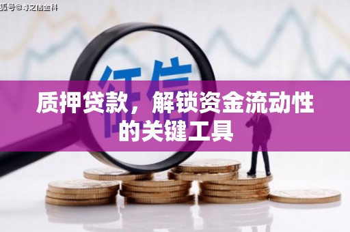 舞阳质押贷款，解锁资金流动性的关键工具