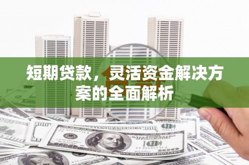 舞阳短期贷款，灵活资金解决方案的全面解析
