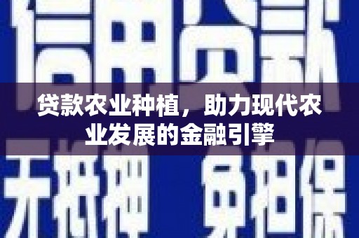 舞阳贷款农业种植，助力现代农业发展的金融引擎