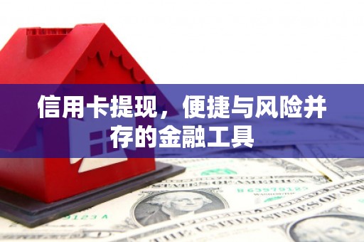 舞阳信用卡提现，便捷与风险并存的金融工具