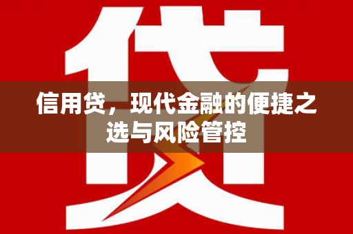 舞阳信用贷，现代金融的便捷之选与风险管控