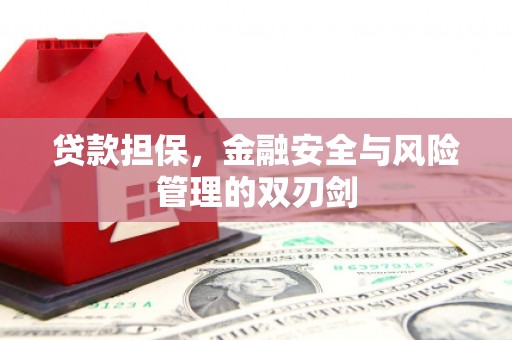 舞阳贷款担保，金融安全与风险管理的双刃剑