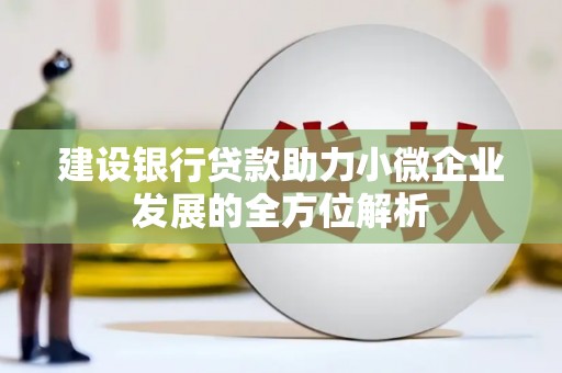 舞阳建设银行贷款助力小微企业发展的全方位解析