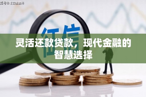 舞阳灵活还款贷款，现代金融的智慧选择