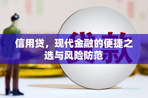 舞阳信用贷，现代金融的便捷之选与风险防范