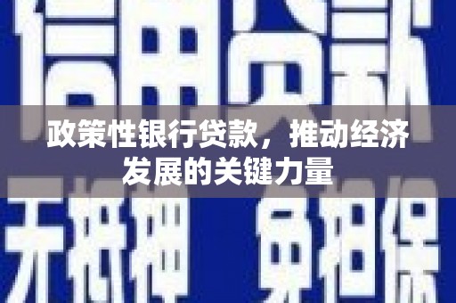 舞阳政策性银行贷款，推动经济发展的关键力量