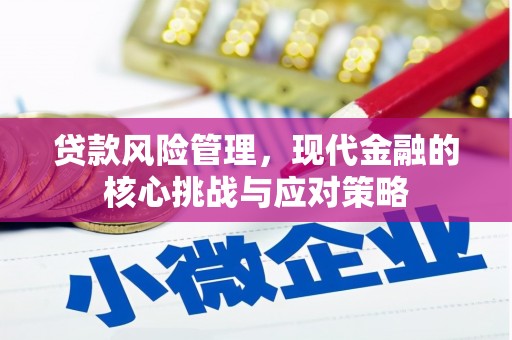 舞阳贷款风险管理，现代金融的核心挑战与应对策略