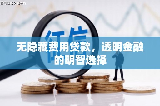 舞阳无隐藏费用贷款，透明金融的明智选择