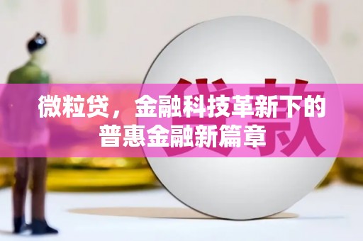 舞阳微粒贷，金融科技革新下的普惠金融新篇章
